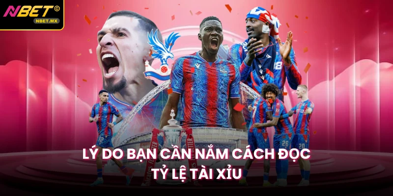 Lý do bạn cần nắm cách đọc tỷ lệ tài xỉu